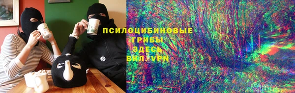 мдпв Волоколамск